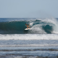 Catch a Wave!